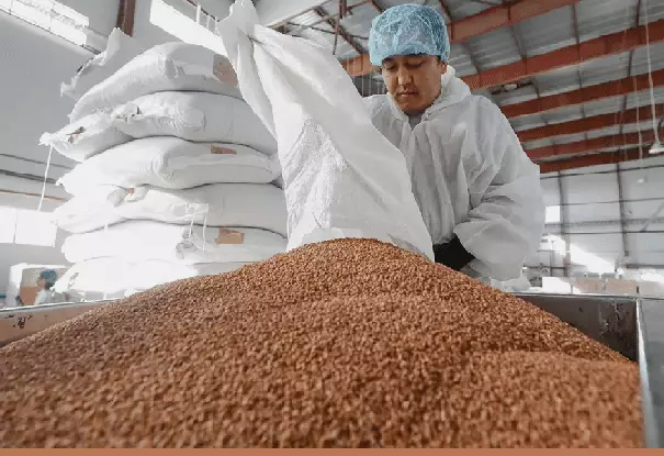 АПК Казахстана переориентируют с сырья на готовую продукцию