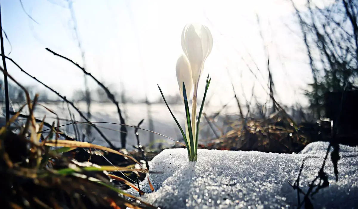 Синоптики рассказали, каким будет март 2026 года в Казахстане