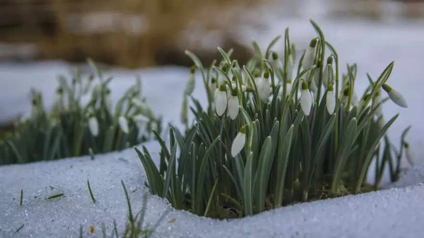 Астану в марте ждут морозы и весеннее потепление до +10 градусов