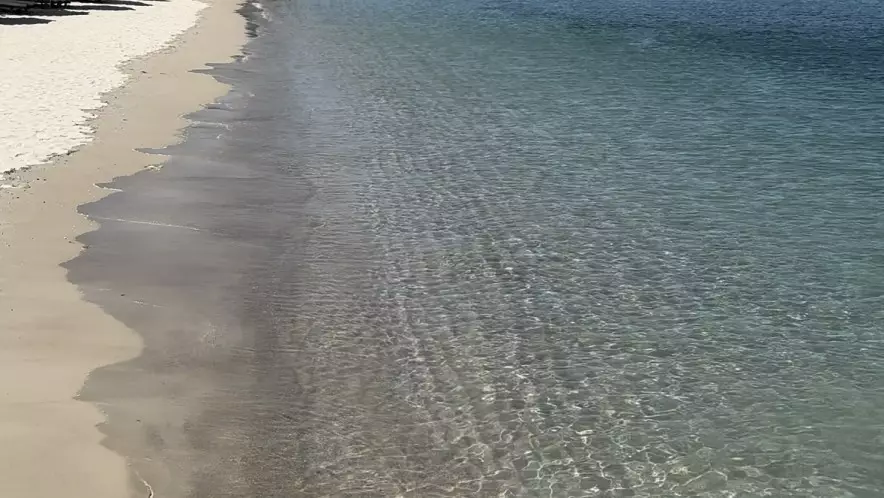 Двухметровый питон всполошил отдыхающих на пляже в Таиланде