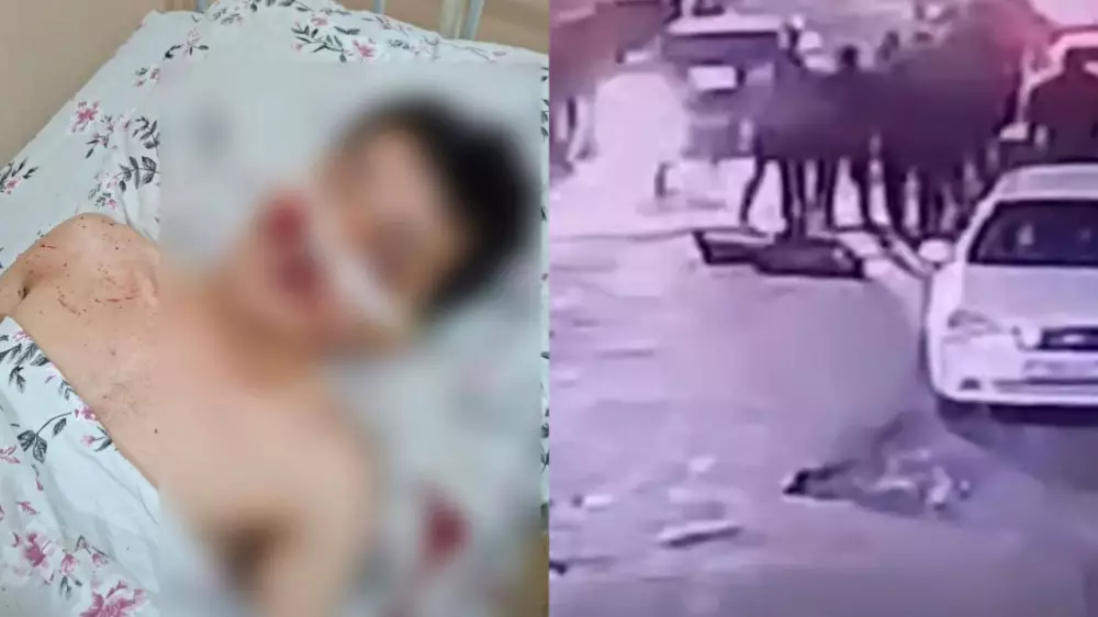 Оңтүстік Қазақстанда жігіт көкпардан кейін аяусыз соққыға жығылған