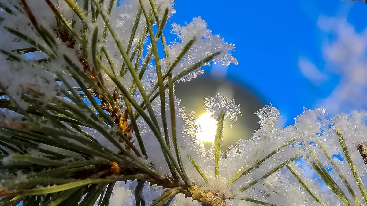 Наурызда Астанада ауа райы қандай болады? – Синоптиктер болжамы