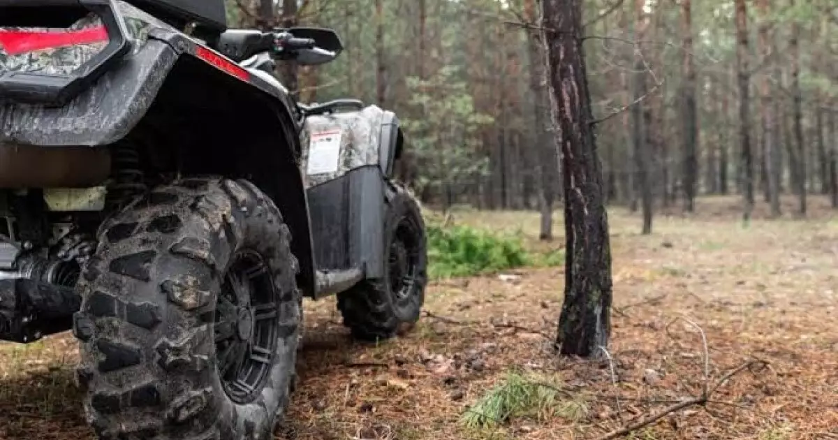  Бурабайда квадроцикл мінген қыз ағашқа соғылып, комаға түсті 