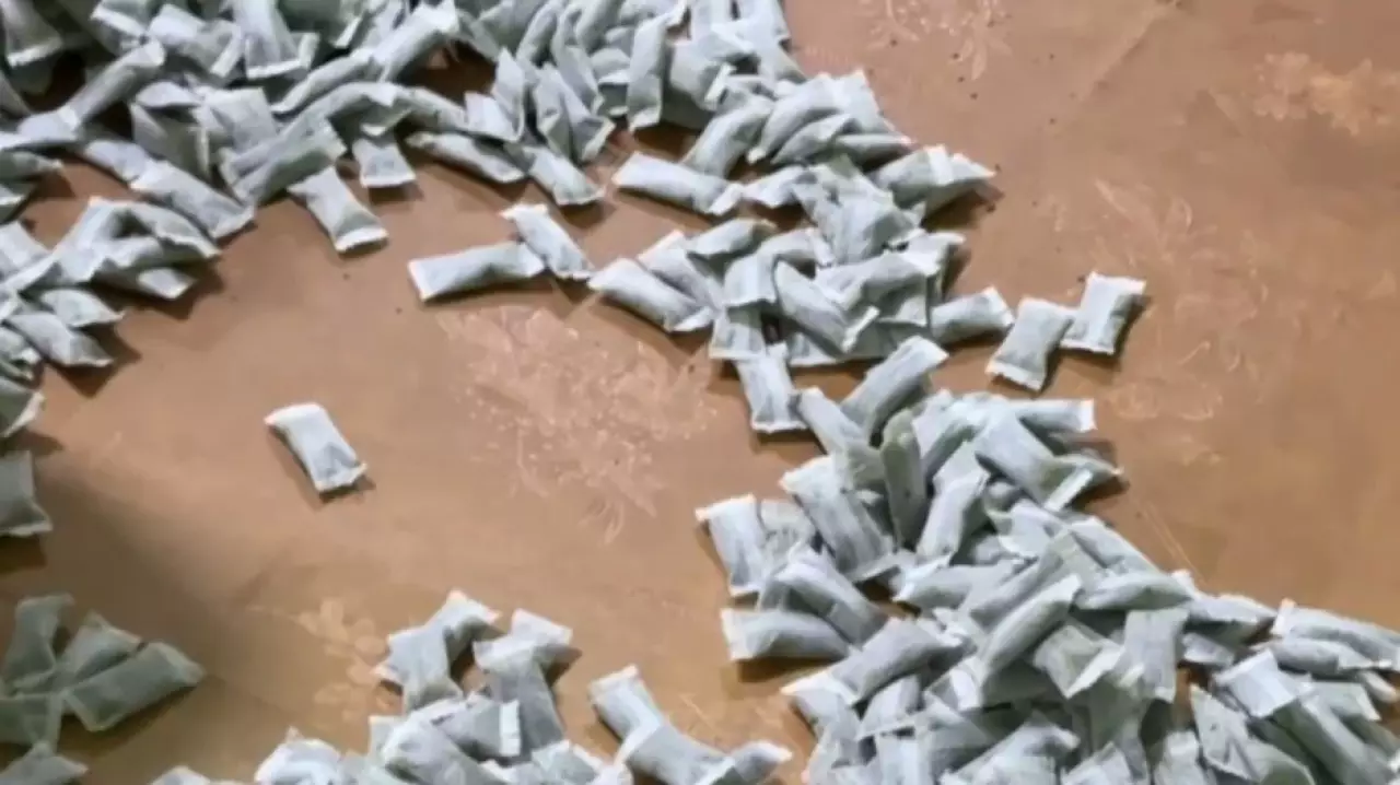 Подпольное производство снюса ликвидировали в Туркестанской области