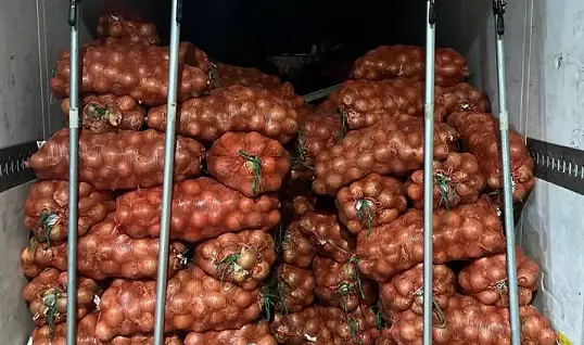 В Бурятию завезли первую партию лука из Казахстана.