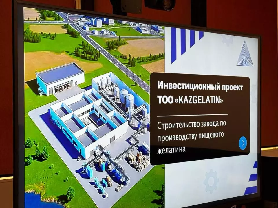 Казахстан планирует построить завод пищевого желатина в Алматы.