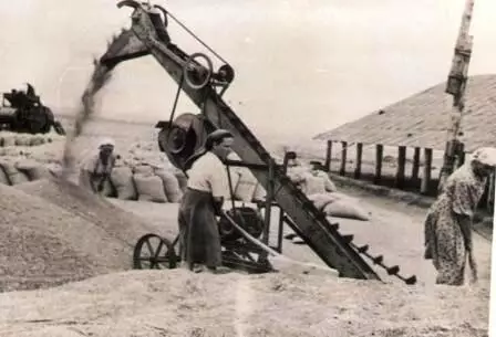 Кражи, приписки и лишний скот: кто и почему воровал в колхозах Казахстана