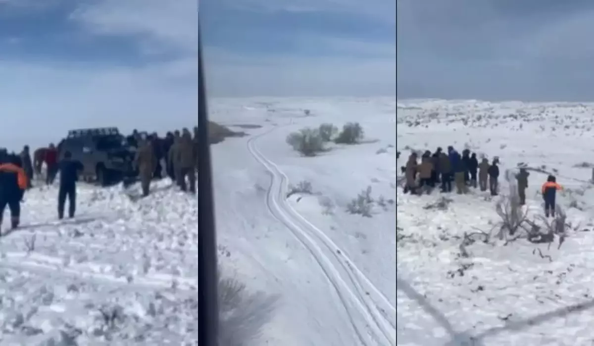 Трагедия в степи: пропавшего мужчину нашли мертвым в Жамбылской области