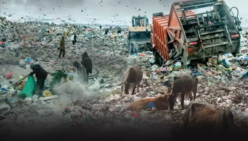 Почти 250 стихийных свалок нашли в Туркестанской области