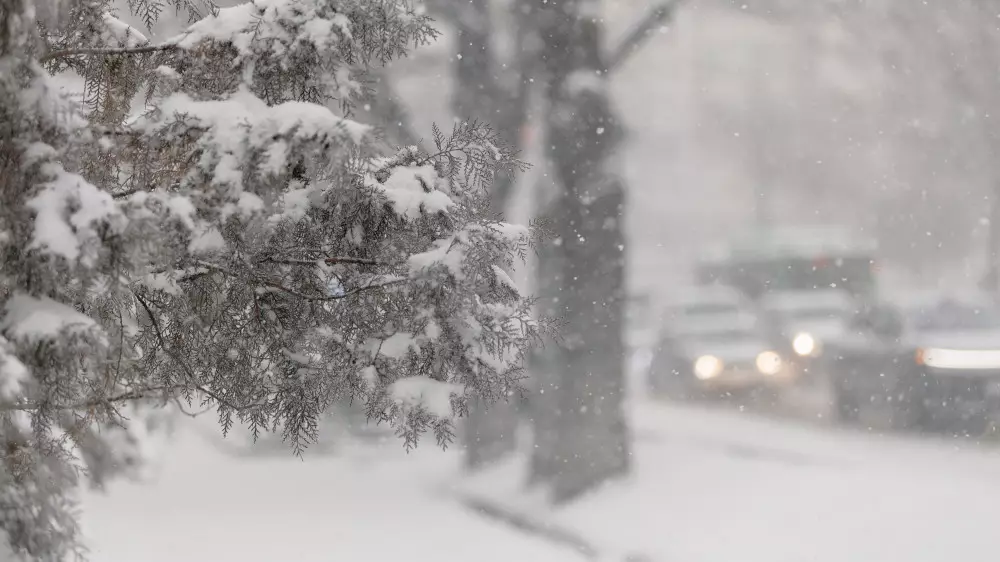 Алдағы күндері күн күрт суытады