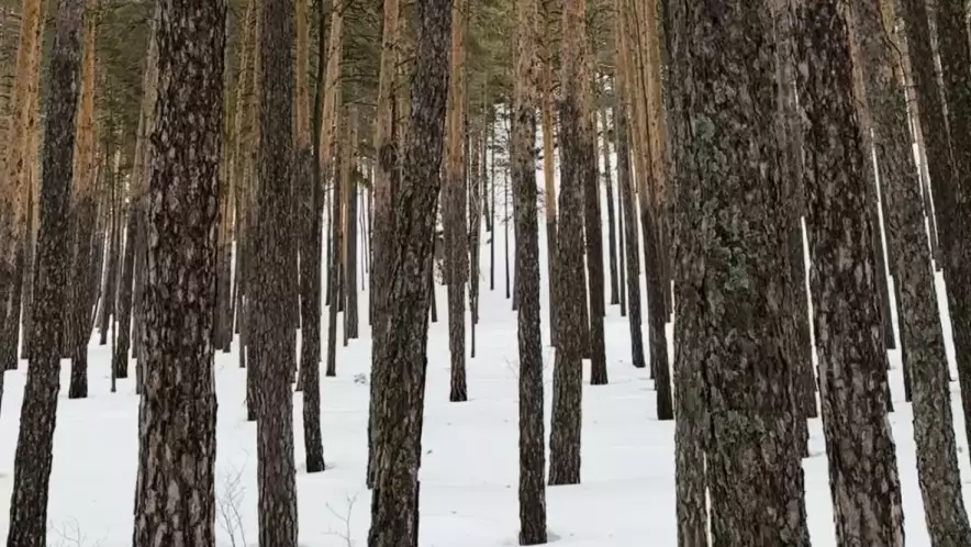 Как отдохнуть в Бурабае: экотропы, веломаршруты и прогулки по заповедным местам