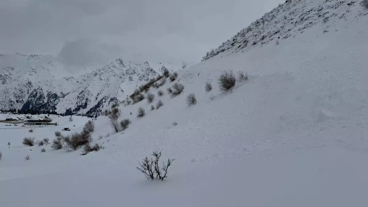 МЧС предупреждает казахстанцев о лавинной опасности в горах