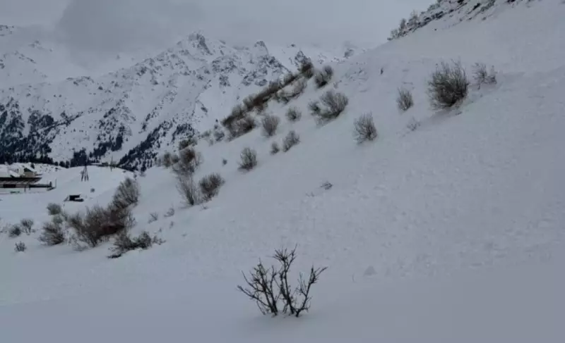 Казахстанцев предупредили о лавинной опасности в горах