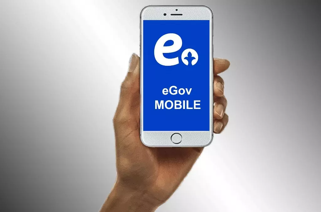 Казахстанцы смогут проверять подлинность товаров через eGov Mobile