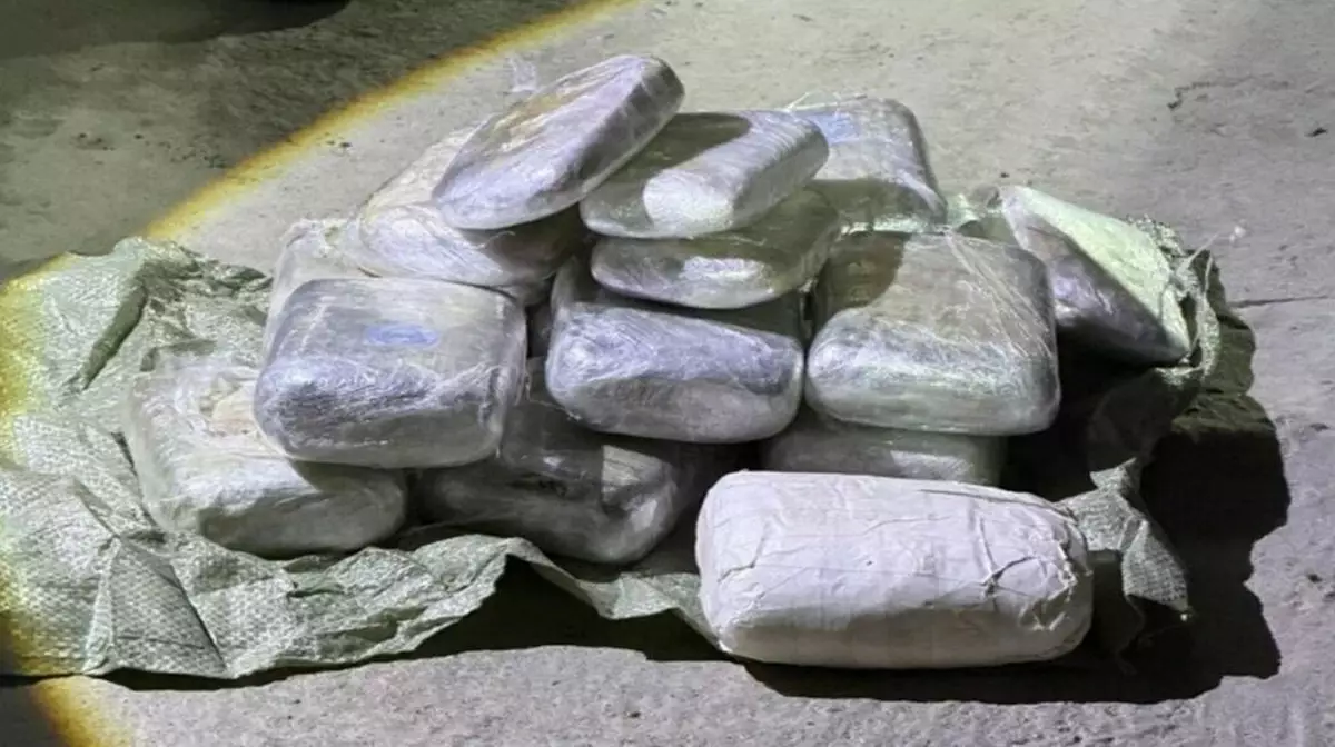 Полиция изъяла более 100 кг марихуаны и 2 кг гашиша в Жамбылской области