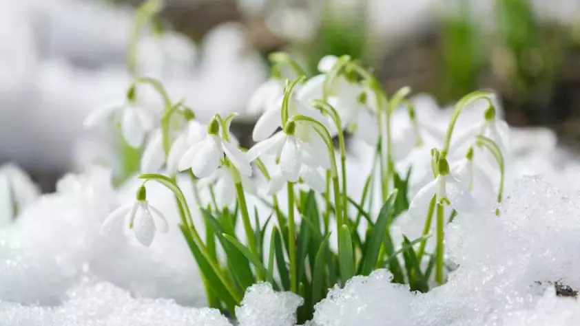 Резкое похолодание ожидается на юге Казахстана