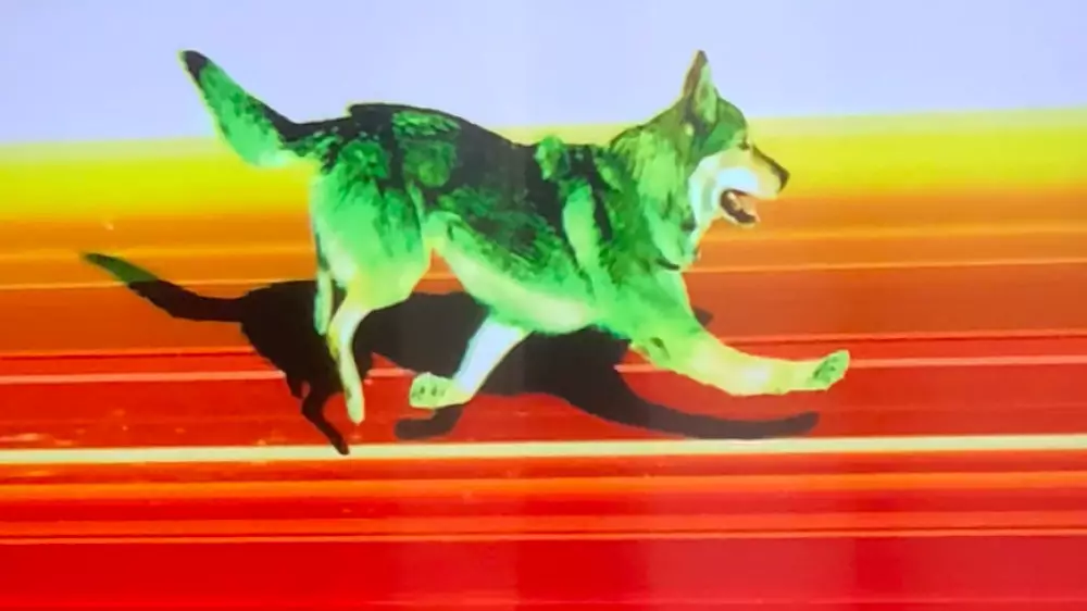 Необычный "атлет" вмешался в гонку с участием Казахстана на Олимпиаде