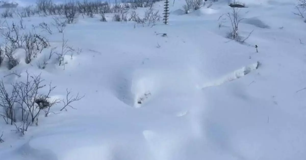  Алдағы күндері тауларда қар көшкіні жүруі мүмкін 