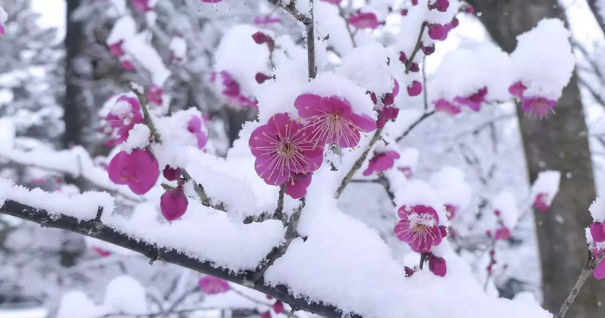 Осадки ожидаются в среду в большинстве регионов Казахстана.