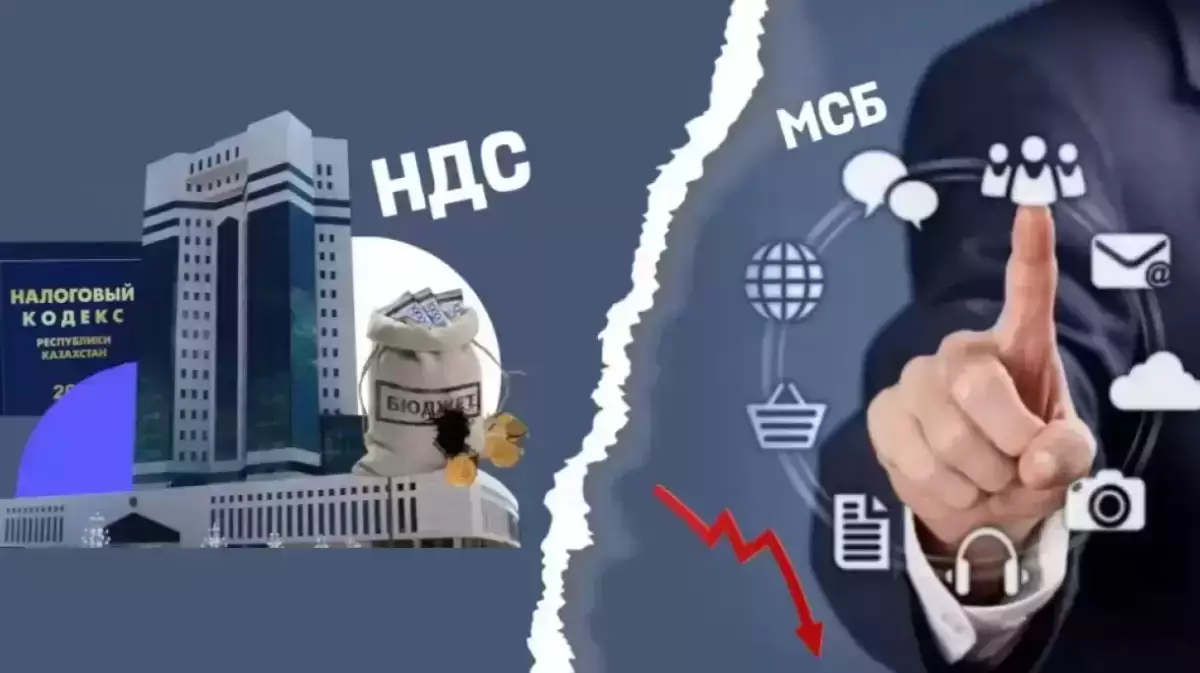 Шаруалар салық кодексіндегі жаңа норманы тоқтата тұруды сұрады