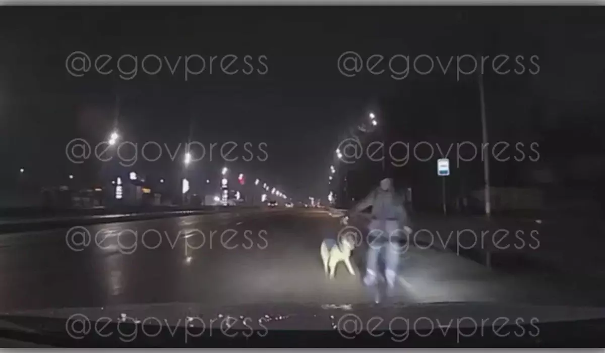 Пешехода с собакой сбили в Алматы (ВИДЕО)