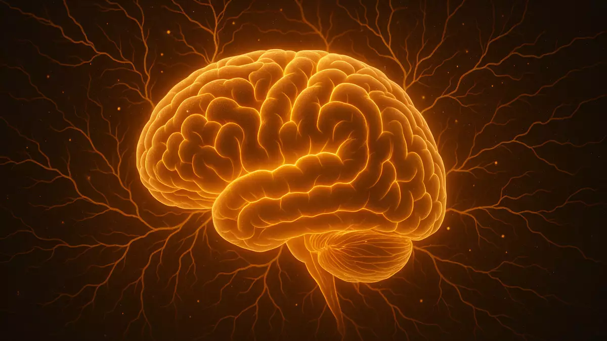 Миды шынықтыруға арналған ең тиімді жаттығу анықталды