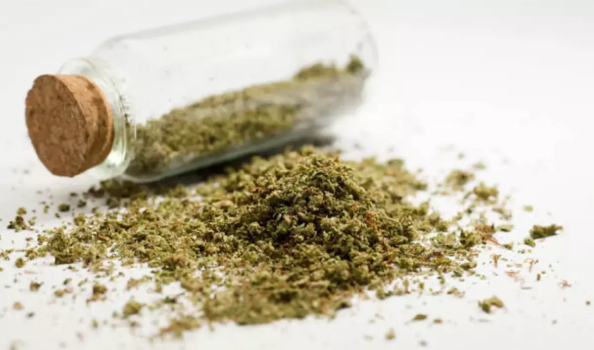 Житель Мангистау оштрафован за хранение марихуаны - новости на Lada.kz 18.02.2026