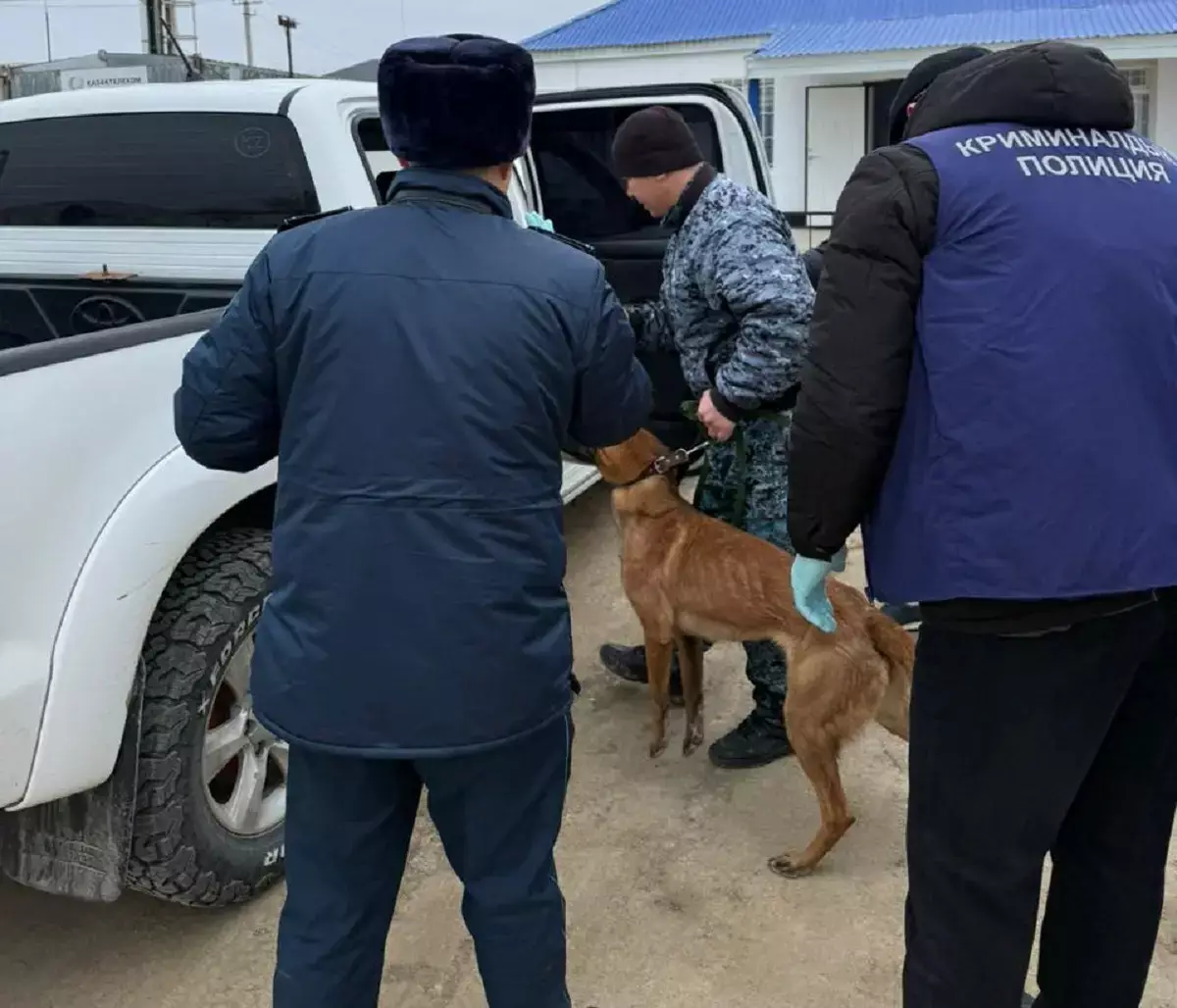 Жителя Мангистау задержали с синтетическими наркотиками - новости на Lada.kz 18.02.2026