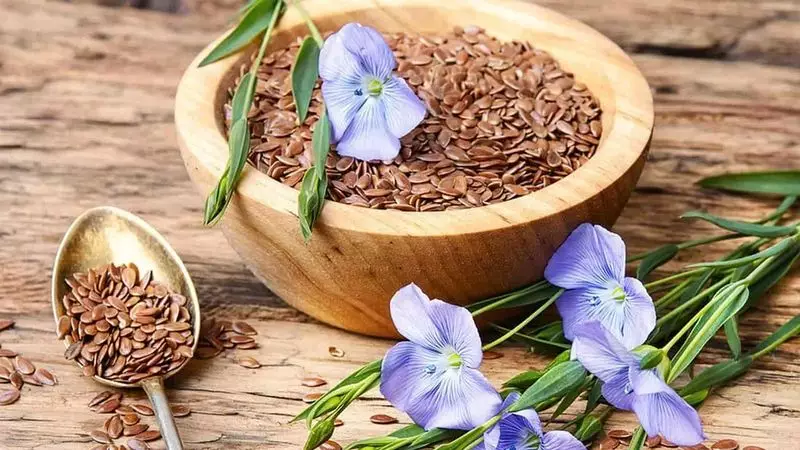 Казахстан расширяет программу прямой закупки подсолнечника и льна.