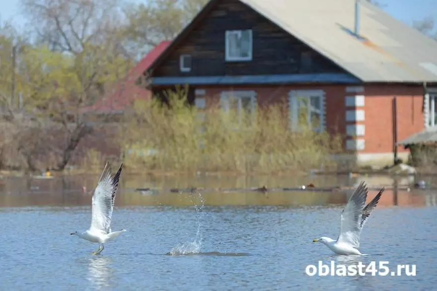Сброс воды с Каратомарского водохранилища в Казахстане увеличивают.
