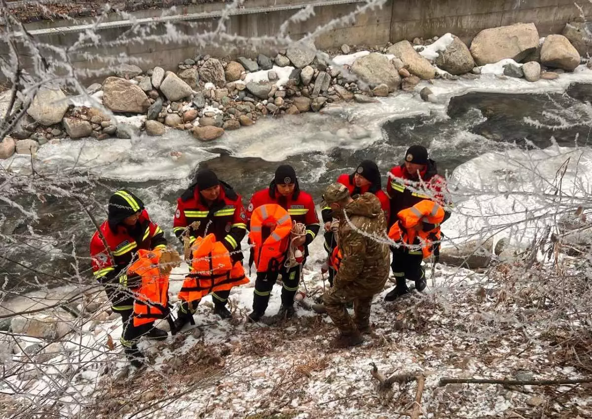 Сырой прогноз