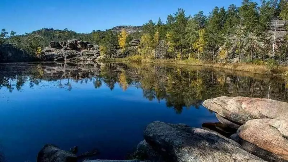 Ближе к природе с комфортом