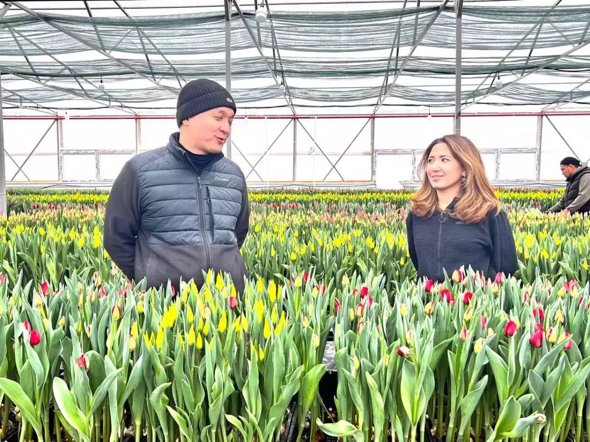 Вестники солнца и радости