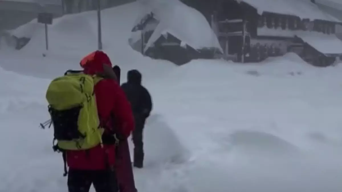 Калифорнияда қар көшкінінен сегіз шаңғышы қаза тапты