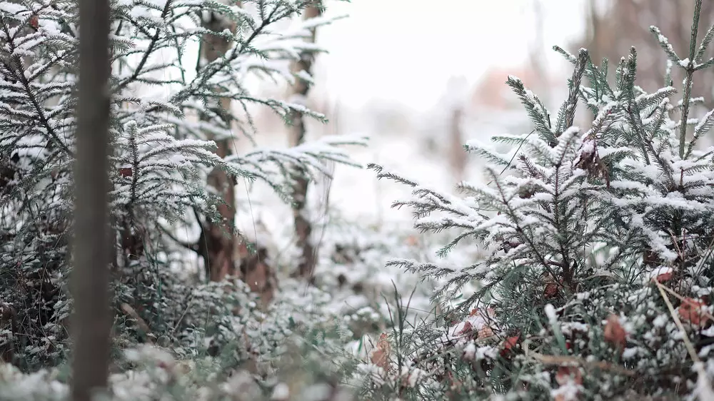 Какой будет погода в Казахстане в четверг, 19 февраля: прогноз