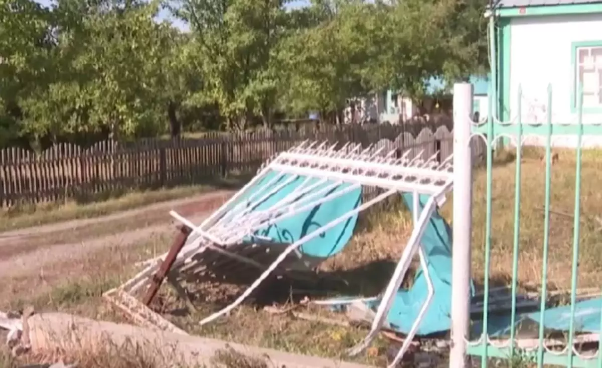 Бестеректегі балалар өлімі: Бүлдіршіндердің отбасы науқасқа жүргізуші куәлігін бергендердің жазалануын талап етіп отыр