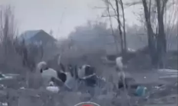 Алматы облысында әйелді иттер талап тастаған