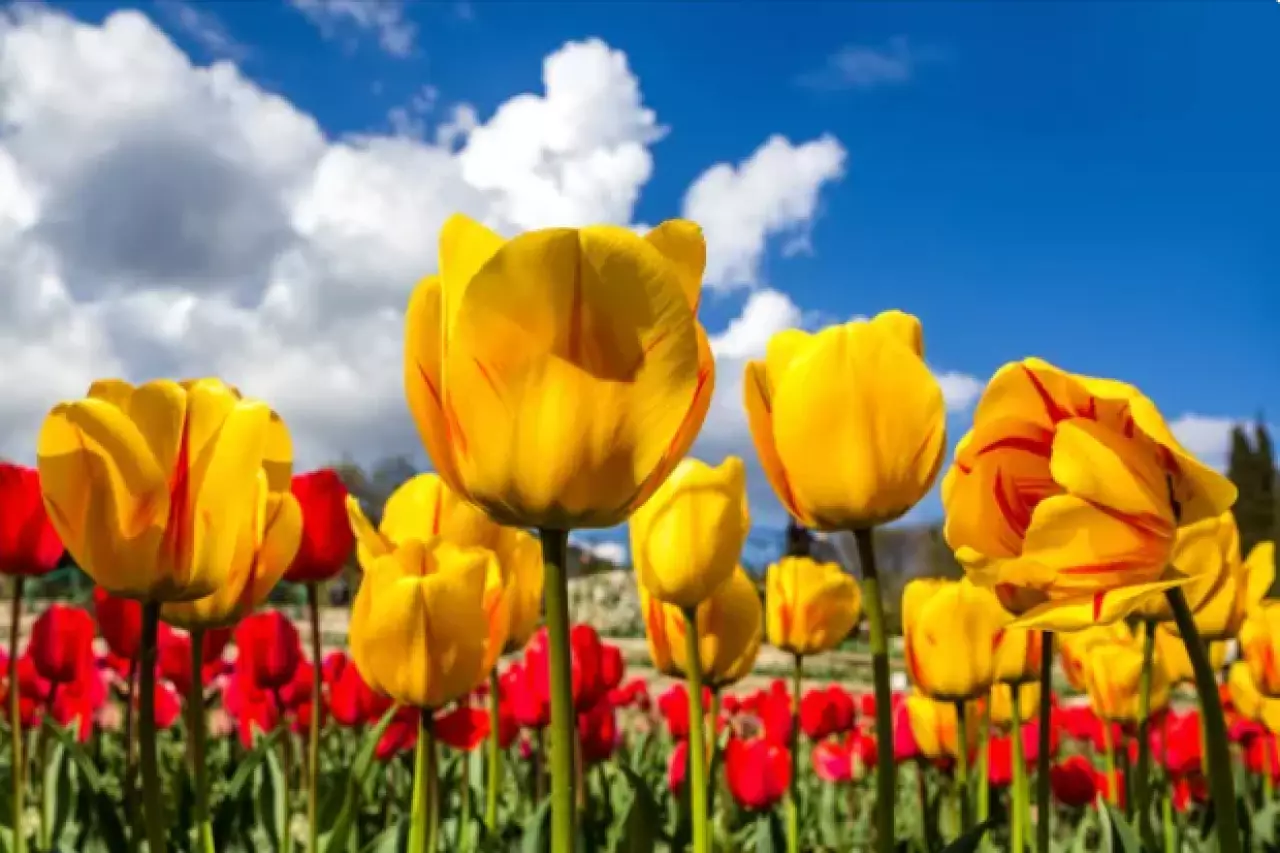 Сколько дней казахстанцы отдохнут в марте