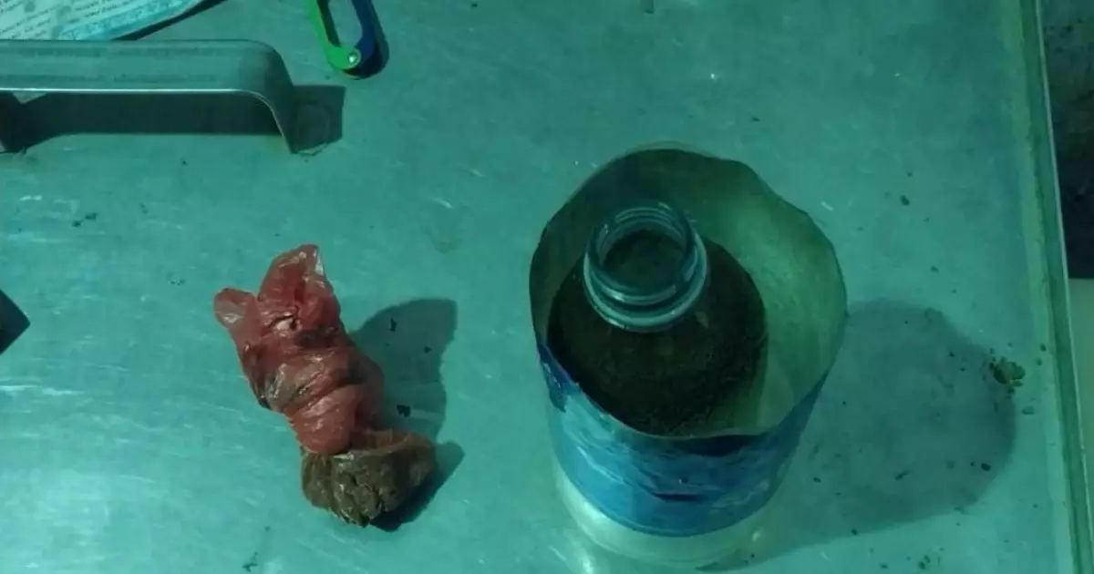   Ұландықтар тыйым салынған заттарды өткізу әрекетінің жолын кесті   