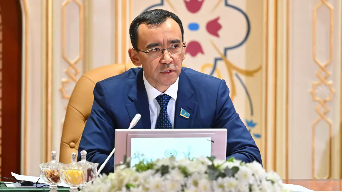 Мәулен Әшімбаев: Кадр мәселесі референдумнан кейін шешіледі