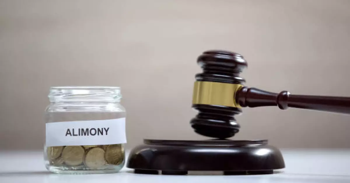  Павлодарда алимент төлемеген әкелерге қатысты 7 қылмыстық іс қозғалды 