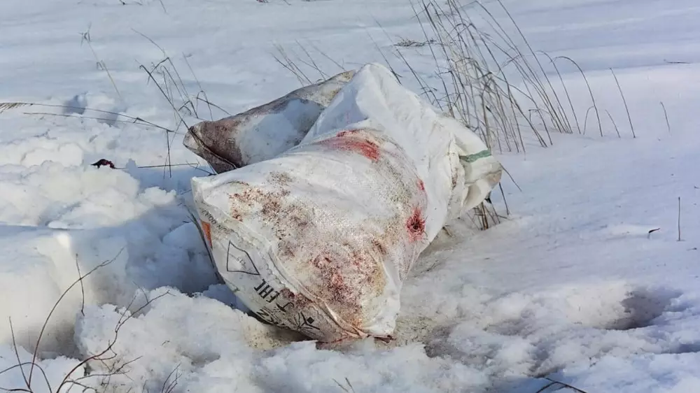 “Головы и лапы животных“: женщина обнаружила страшную находку в Караганде