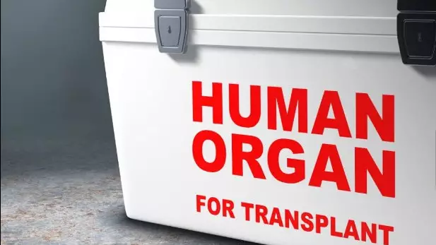 Казахстанец через соцсети пытался продать почку за 13 млн тенге