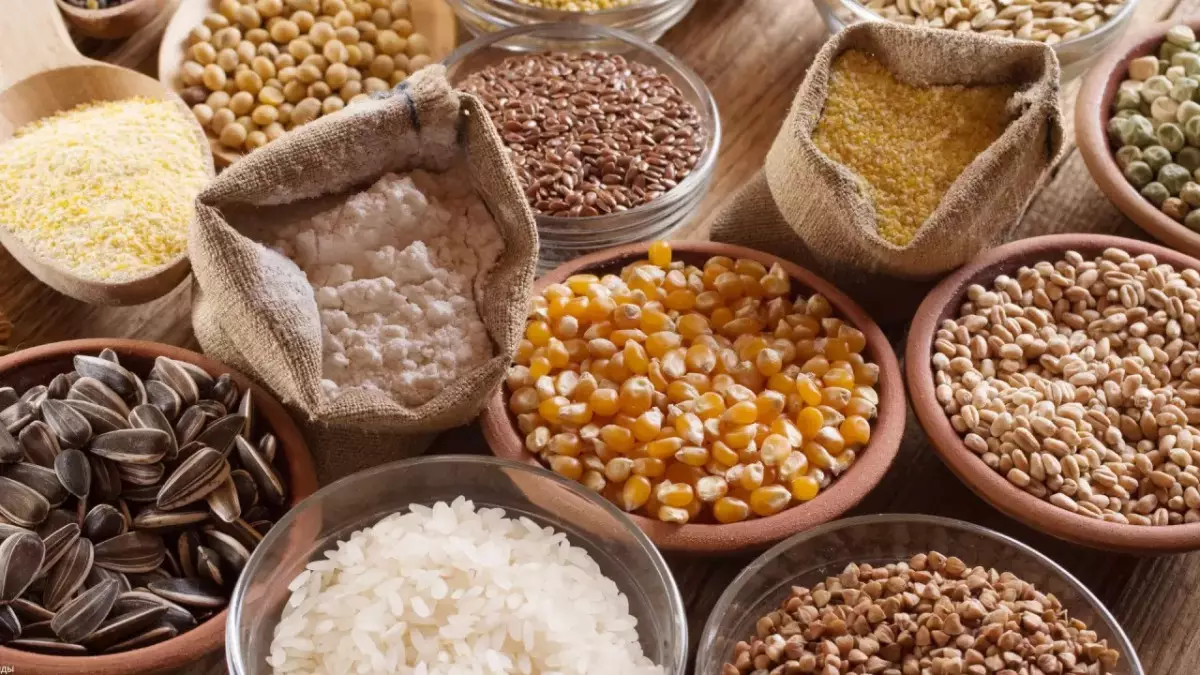 Отандық тұқым шаруашылығына былтыр 1 триллион теңге бөлінді: Нәтиже қандай?