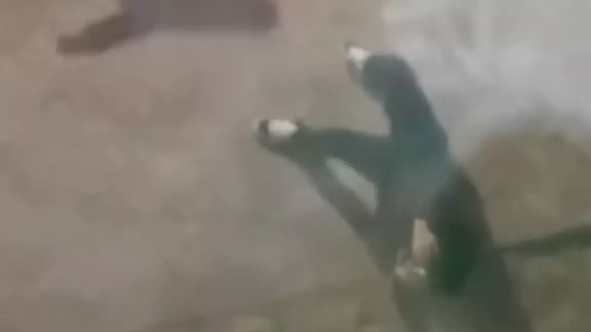 Қызылордада жігітті бір топ жасөспірім соққыға жыққан