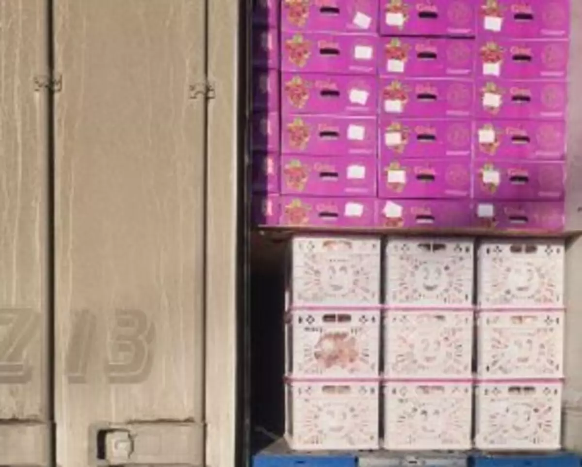 Южный Урал вернул в Казахстан около 17 тонн импортных фруктов из-за нарушений фитосанитарных норм.