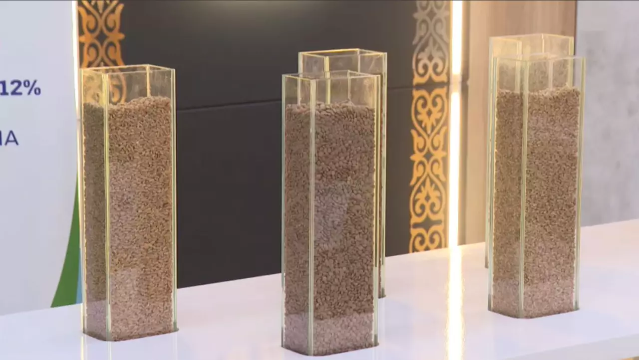 Елімізде тұңғыш рет агротехнопарк ашылды