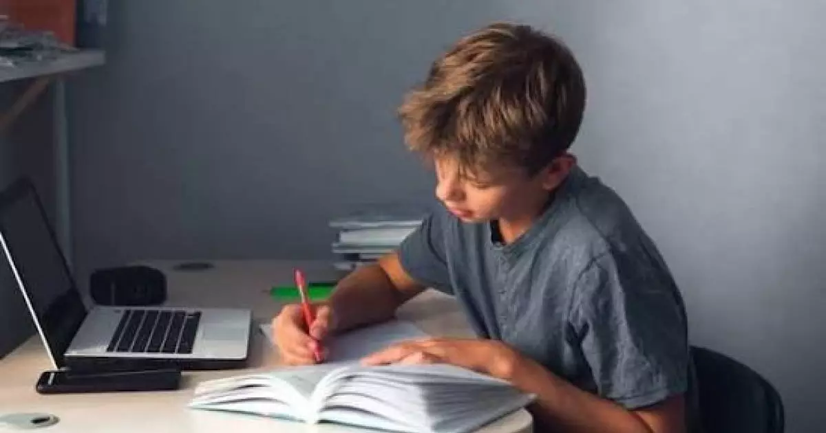  Швеция возвращает книги и карандаши в школы: важный урок цифровой эпох 