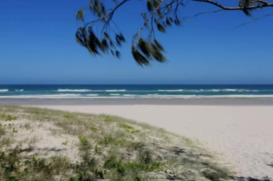 Недооцененная жемчужина Азии: город с пальмовыми пляжами, который советуют посетить в 2026 году