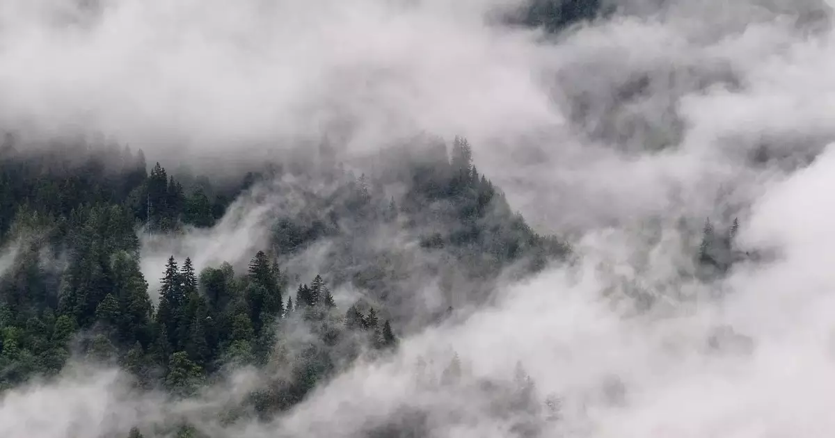  20 ақпанға арналған ауа райы болжамы 